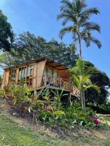 Home Boutique Natural Paradise في لا فيغا: منزل على تلة مع نخلة