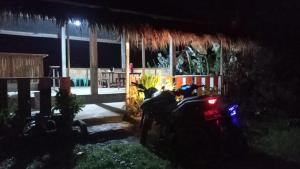 Bayan Exotic Homestay外面的花园