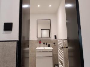 bagno con lavandino e specchio di Apartment Sofia a Dusseldorf