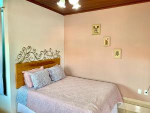 um quarto com uma cama com almofadas cor-de-rosa e azuis em Pousada João do Táxi em Tiradentes