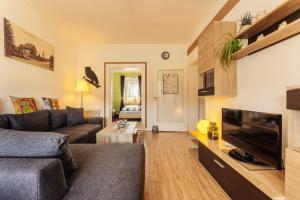 a living room with a couch and a flat screen tv at Altes Forsthaus Königskrug in Braunlage