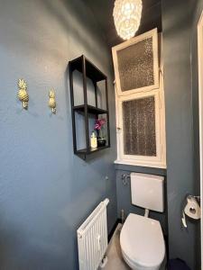 a bathroom with a toilet and a blue wall at Zentrale Stadtwohnung, Bahnhofsnähe, OG-Krankenhaus, OG-Messe, EuropaPark in Offenburg +10 photos