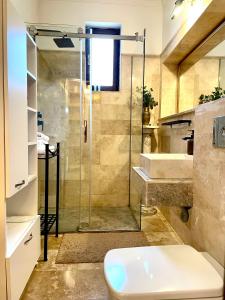 a bathroom with a shower and a toilet and a sink at Arc de Triomphe Studios in Bucharest