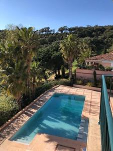 ein Swimmingpool vor einem Haus mit Palmen in der Unterkunft Villa 49 Hameau des Greens in Sainte-Maxime