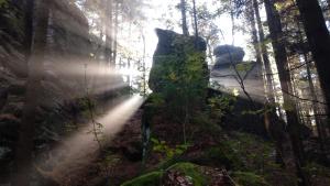Příroda nedaleko apartmánu