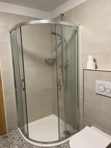 bagno con doccia in vetro e servizi igienici. di U Studánky a Koberovy
