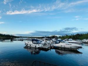 a group of boats docked at a dock in the water at 湖景度假屋Lakeview Vacation Home in Belturbet