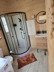 een badkamer met een douche, een toilet en een wastafel bij Hasiorówka. Dom w górach in Złatna