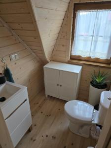 a bathroom with a white toilet and a sink at Hasiorówka. Dom w górach in Złatna
