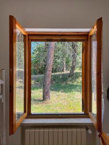 a window in a room with a view of a tree at Majella Green House in Roccamontepiano