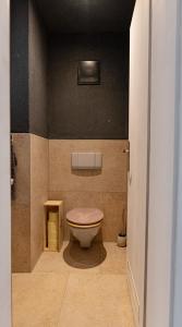 a bathroom with a toilet in a room at Deluxe Apartement Tirol in Landeck
