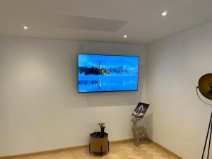 TV a/nebo společenská místnost v ubytování Deluxe Apartement Tirol