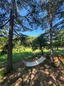 a hammock hanging between two trees in a field at Majella Green House in Roccamontepiano