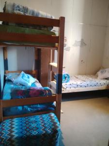 Zimmer mit 2 Etagenbetten in einem Zimmer in der Unterkunft Montevideo Hostel in Montevideo