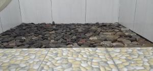 森纳儒Bayan Exotic Homestay的相册照片