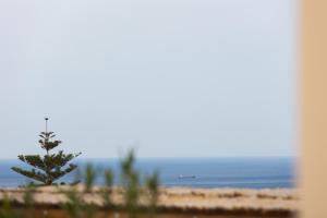 Φυσικό τοπίο κοντά σε αυτό το διαμέρισμα