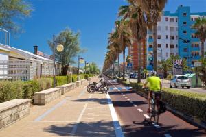 - un homme à vélo dans une rue bordée de palmiers dans l'établissement Casa Girasole, à Montesilvano