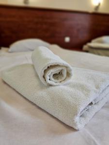 a white towel sitting on top of a bed at Willa Sanssouci in Kudowa-Zdrój +256 photos
