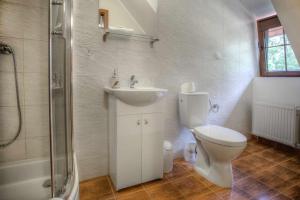 uma casa de banho com um WC, um lavatório e um chuveiro em Zajazd Drogorad Restauracja i Noclegi em Mielno