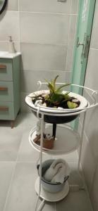 un plato con una planta en un estante en un baño en Alojamento local Os Maias, en Mirandela