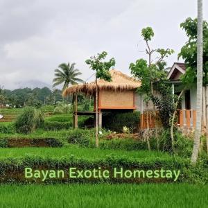 Bayan Exotic Homestay外面的花园