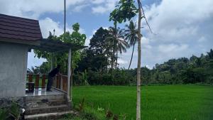 Bayan Exotic Homestay外面的花园