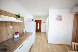 Kuchyň nebo kuchyňský kout v ubytování PAPI Apartmán + 9 fotografií