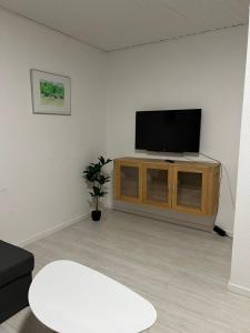 uma sala de estar com uma televisão de ecrã plano num armário em Apartment with Wifi, close to city center, Beach and forrest em Aabenraa