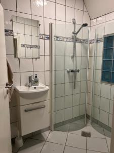 y baño con ducha y lavamanos. en Apartment with Wifi, close to city center, Beach and forrest en Aabenraa