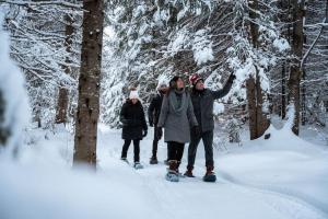 a group of people on skateboards in the snow at Bee Private Hot Tub Sauna Ski, Snowshoes in Mille-Isles