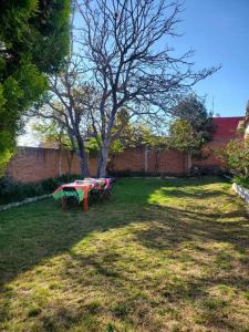 a picnic table in a yard with a tree at JocoHideaway in Jocotitlán