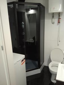 uma casa de banho com um chuveiro e um WC. em Apartament Batorego em Cracóvia