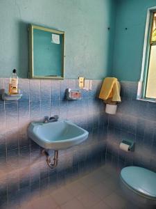 a bathroom with a sink and a toilet at JocoHideaway in Jocotitlán