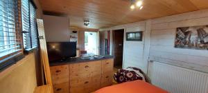 a small living room with a tv in a room with wooden walls at studio des dents de lanfon in Écharvine