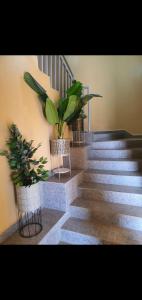 un escalier avec des plantes en pot dans l'établissement N et M Inn - Hébergement, à Nsazomo