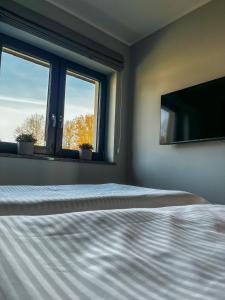 WojcieszyceにあるDomki Karkonosze Pod Dębemのベッドとテレビと2つの窓がある寝室