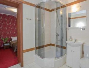 a bathroom with a shower and a toilet and a sink at ZAJAZD DROGORAD HOTEL i Restauracja in Mielno