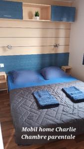 sypialnia z łóżkiem i dwiema poduszkami w obiekcie Mobil Home proche EUROPA PARK/RULANTICA w mieście Boofzheim
