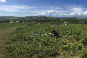 Příroda nedaleko prázdninového domu