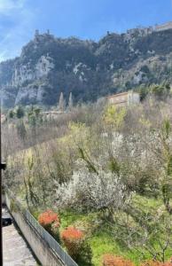 a view of a hill with flowers and a mountain at B&B Da Noi in San Marino