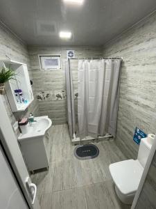 La salle de bains est pourvue d'une douche, de toilettes et d'un lavabo. dans l'établissement garden and panorama, à Mtskheta