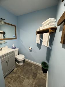 a bathroom with a toilet and a sink and a mirror at Lake Ontario Motel & Inn in Newfane +47 photos
