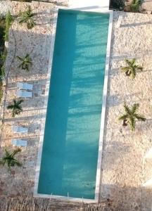 una vista sul tetto di una piscina di acqua con palme di Xbalche eco hotel & RV park 