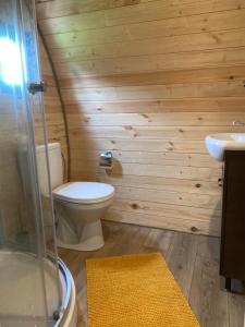 baño de madera con aseo y lavamanos en Kedras Glamping - Pod tipo nameliai, en Prapuntai