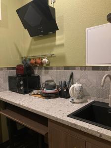 un bancone della cucina con lavello e forno a microonde di Pumpura apartamenti ***** a Talsi