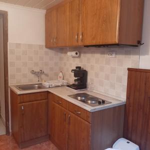 A kitchen or kitchenette at Rózsa Vendégház