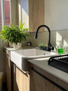 卡尔佩Atico Playa Arenal Calpe的厨房水槽上放着两盆植物