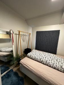 a bedroom with two bunk beds and a plant at Bjørn's Sanctuary - City Center in Stavanger