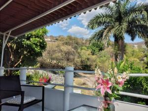 d'un balcon avec un palmier et une vue sur le désert. dans l'établissement Villa San Rafael, à Tepetzingo