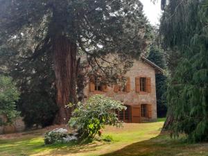 Maison des Séquoias - Parc 1 hectare- في Veyrac: منزل حجري قديم مع شجرة كبيرة